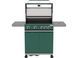 Grill gazowy itami 4+1, 14,5kw, z szybą, zielony